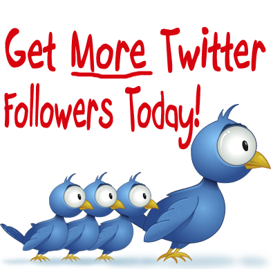 fake twitter followers